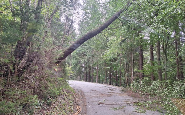 Einsatz am 14.09.2024 um 11:38Uhr Bäume über die Strasse Bereich Stoffnmühle